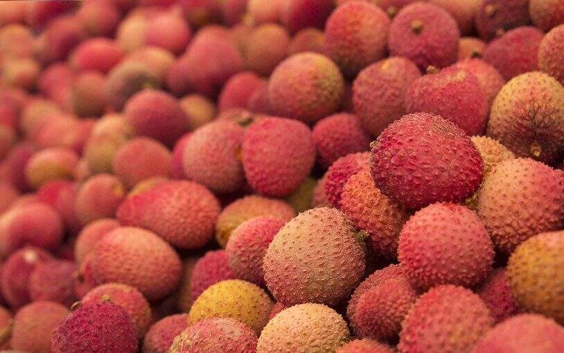 Inflação no Natal: saiba quais frutas estão em conta e as mais caras para sua ceia - Rádio Pampa Inflação no Natal: saiba quais frutas estão em conta e as mais caras para sua ceia - Rádio Pampa