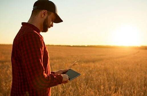 Como um advogado pode ajudar o Empreendedor Rural?