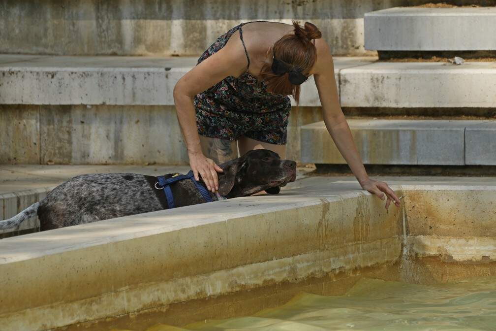 Mulher joga água de uma fonte em seu cachorro em um dia quente em Madri, na Espanha, na quarta-feira (13). — Foto: Paul White/AP
