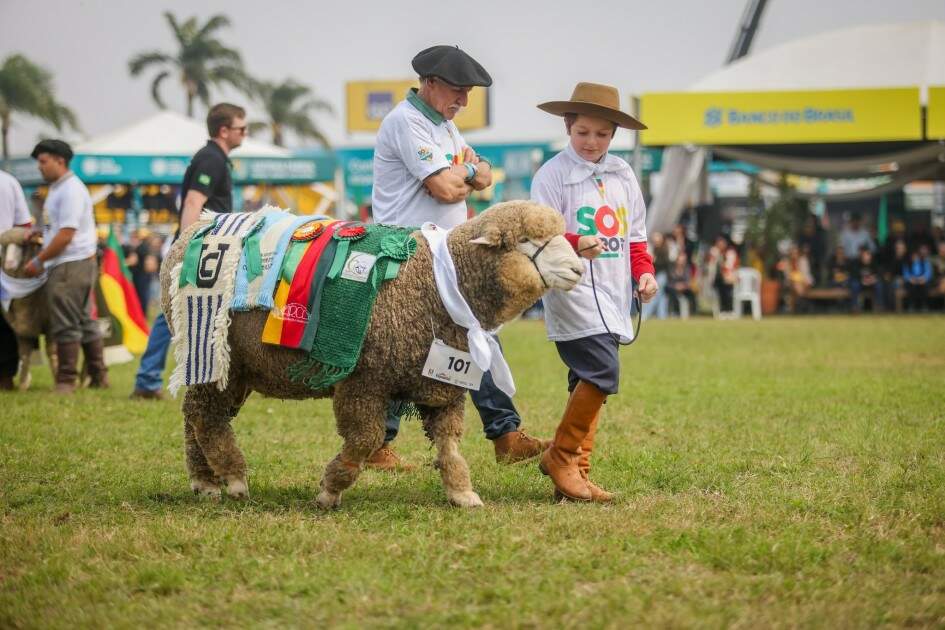 Desfile dos Grandes Campeões será na sexta-feira (5), às 10h, na Pista Central